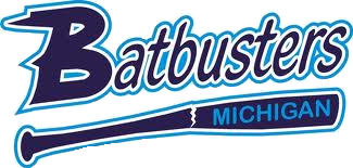 Michigan Batbusters